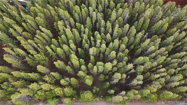 Lot 285 Lower Forest Road, Idaho Springs, CO 80452