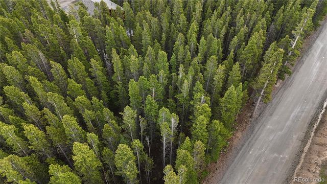 Lot 285 Lower Forest Road, Idaho Springs, CO 80452