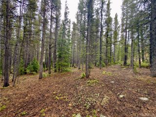 Lot 285 Lower Forest Road, Idaho Springs, CO 80452