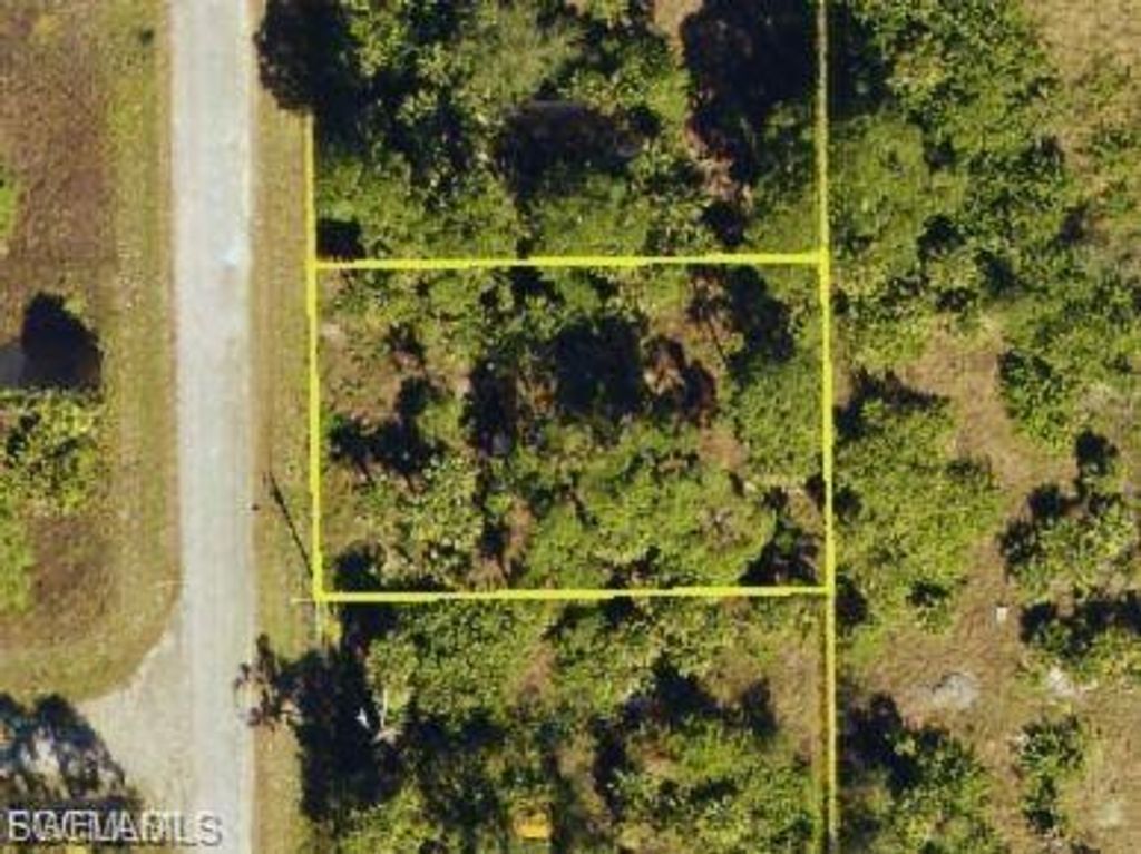555 Naples AVE S, LEHIGH ACRES, FL 33974 — exterior