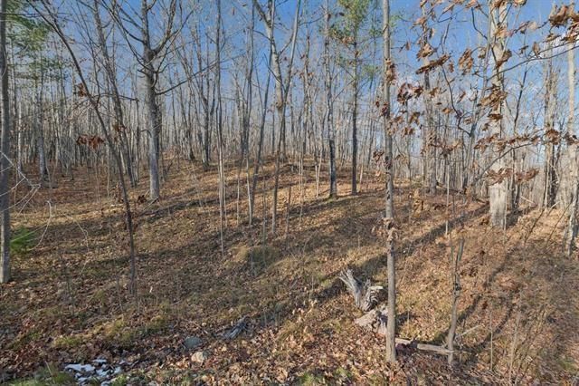 67863 Topside Road, Iron River, WI 54847