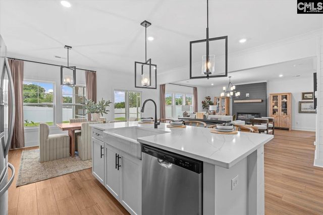 571 Griffon Drive, Chapin, SC 29036