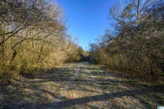 0 COUNTY ROAD 216, Dodge City, AL 35077