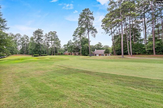 104 Birkdale Court, Lexington, SC 29072