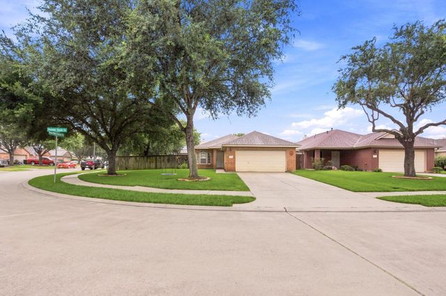 111 Thunder Basin Drive, Richmond, TX 77469