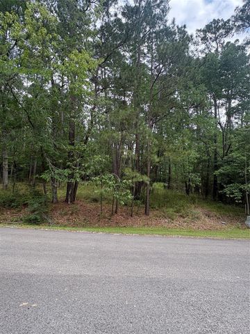 78 Wentworth Lane, Coldspring, TX 77331