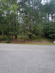 78 Wentworth Lane, Coldspring, TX 77331