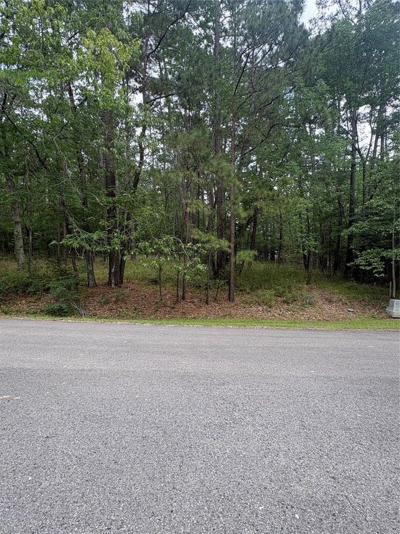 78 Wentworth Lane, Coldspring, TX 77331