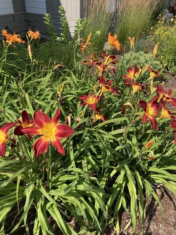 101 Wentworth Road, Walpole, NH 03608