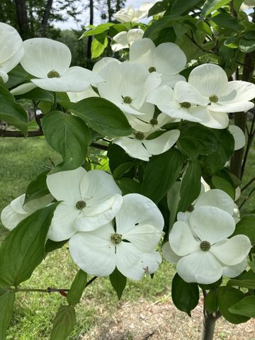 101 Wentworth Road, Walpole, NH 03608