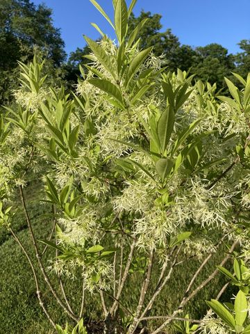 101 Wentworth Road, Walpole, NH 03608