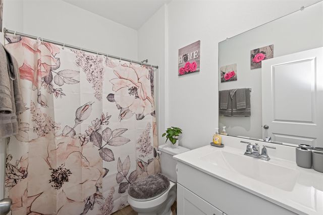 23514 Fallen Cone Street, Spring, TX 77373