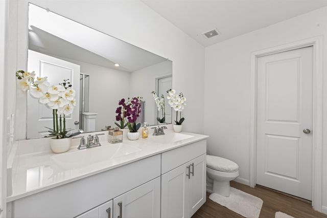 23514 Fallen Cone Street, Spring, TX 77373