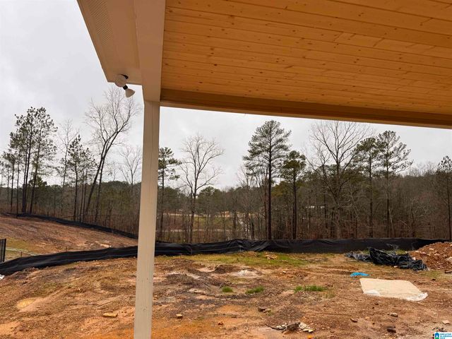 3446 BLACKRIDGE CIRCLE, Hoover, AL 35244