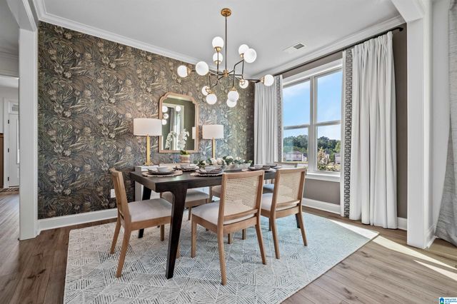 3446 BLACKRIDGE CIRCLE, Hoover, AL 35244