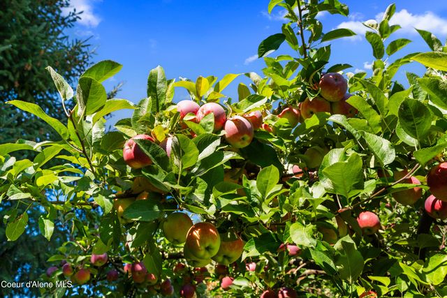 7535 N MT CARROL ST, Dalton Gardens, ID 83815