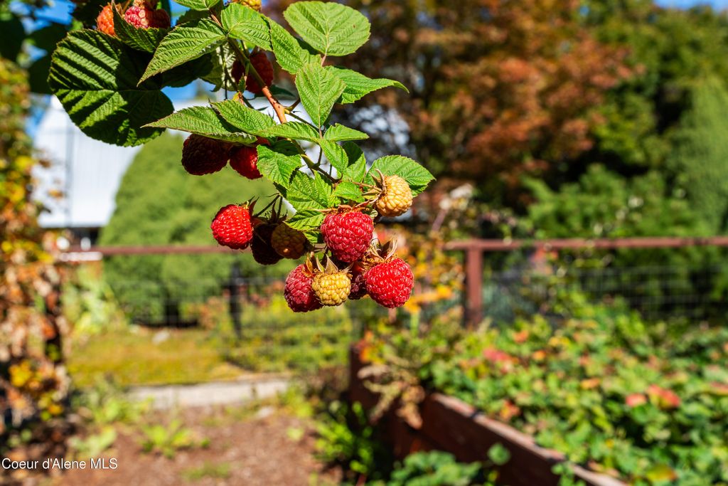 7535 N MT CARROL ST, Dalton Gardens, ID 83815 photo 45