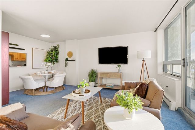 11811 Lake Avenue 503, Lakewood, OH 44107