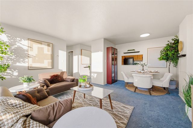 11811 Lake Avenue 503, Lakewood, OH 44107