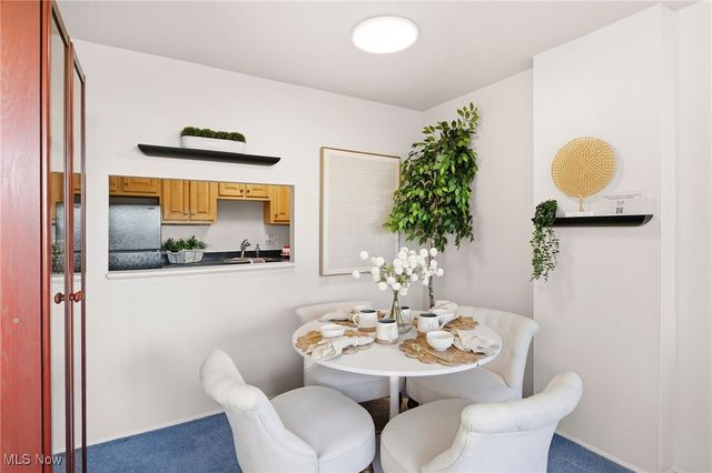 11811 Lake Avenue 503, Lakewood, OH 44107