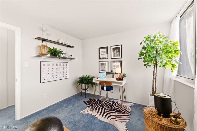 11811 Lake Avenue 503, Lakewood, OH 44107