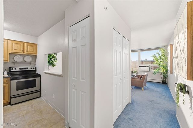 11811 Lake Avenue 503, Lakewood, OH 44107