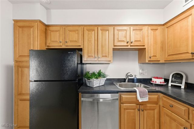 11811 Lake Avenue 503, Lakewood, OH 44107