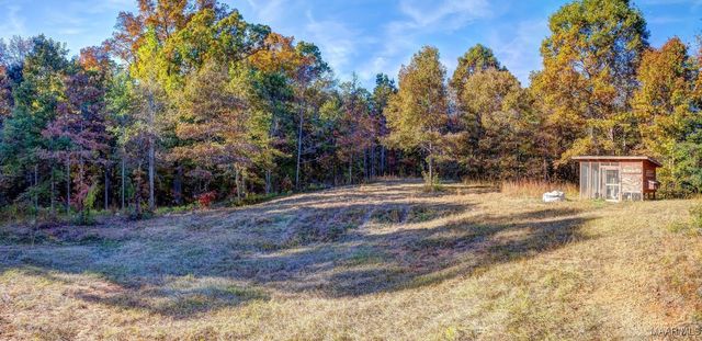 2167 Mt Hebron Road, Eclectic, AL 36024