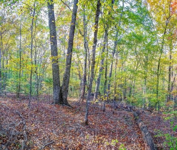 2167 Mt Hebron Road, Eclectic, AL 36024