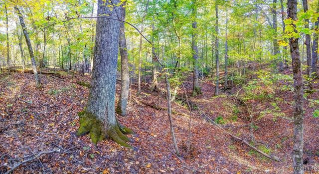 2167 Mt Hebron Road, Eclectic, AL 36024