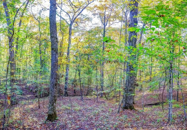 2167 Mt Hebron Road, Eclectic, AL 36024