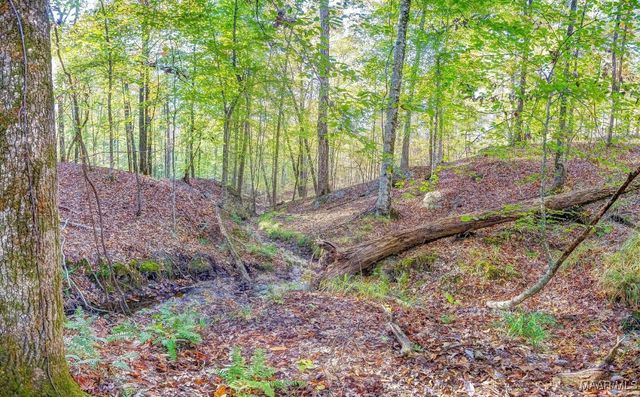 2167 Mt Hebron Road, Eclectic, AL 36024