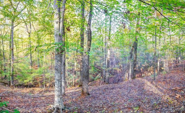 2167 Mt Hebron Road, Eclectic, AL 36024