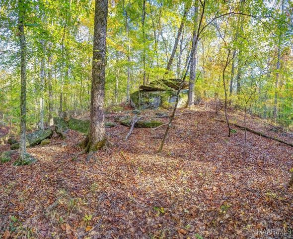 2167 Mt Hebron Road, Eclectic, AL 36024