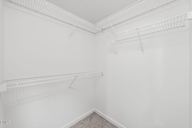 113 Arvo Lane, Cary, NC 27513