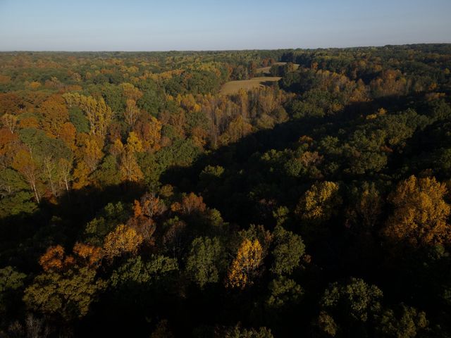 150 Humpty Dumpty Rd, White Bluff, TN 37187