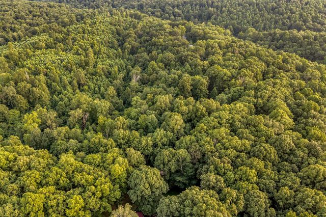 150 Humpty Dumpty Rd, White Bluff, TN 37187