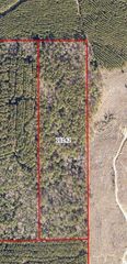 Hall Survey, Colmesneil, TX 75938