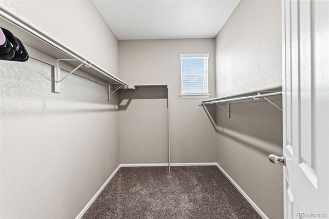 435 Sage Grouse Circle, Castle Rock, CO 80109