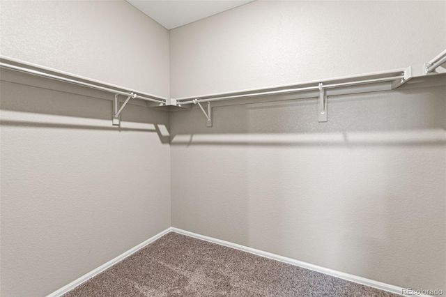 435 Sage Grouse Circle, Castle Rock, CO 80109