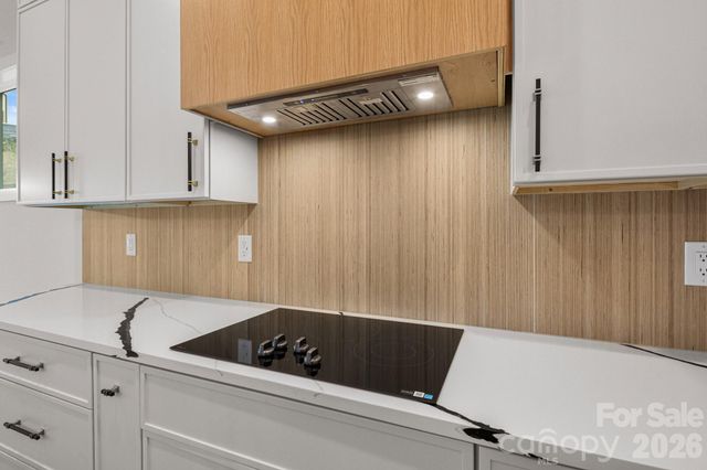 8 Overlook Place 4, Asheville, NC 28803