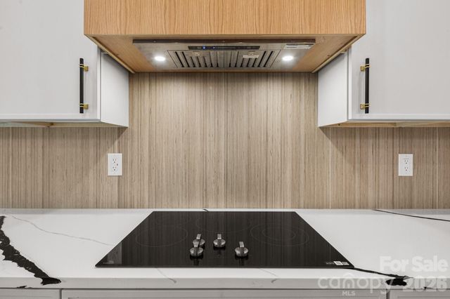 8 Overlook Place 4, Asheville, NC 28803