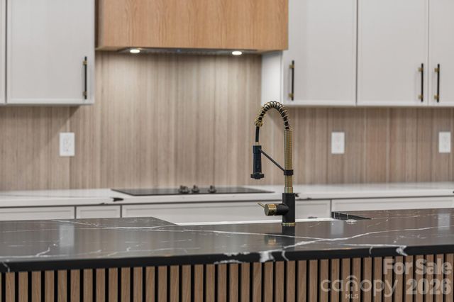 8 Overlook Place 4, Asheville, NC 28803