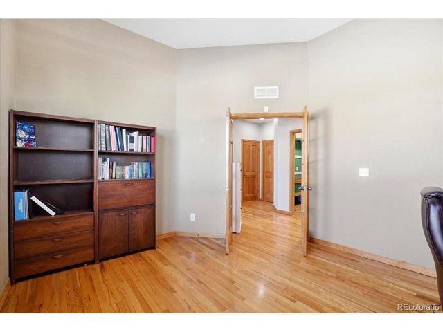 23077 Briar Leaf Ave, Parker, CO 80138