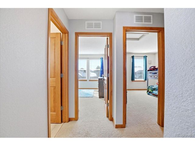 23077 Briar Leaf Ave, Parker, CO 80138