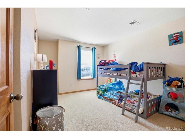 23077 Briar Leaf Ave, Parker, CO 80138