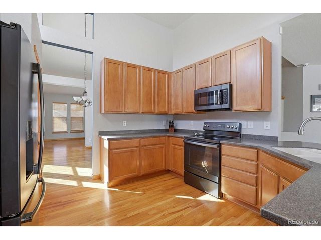 23077 Briar Leaf Ave, Parker, CO 80138