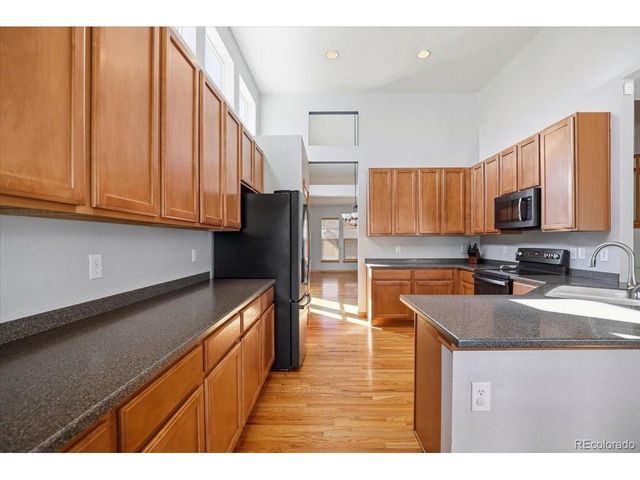 23077 Briar Leaf Ave, Parker, CO 80138