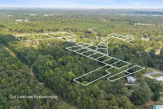 21 PINE KNOLL DRIVE, Pell City, AL 35128