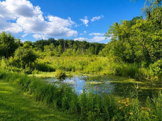 6545 M-89 Highway, Richland, MI 49083